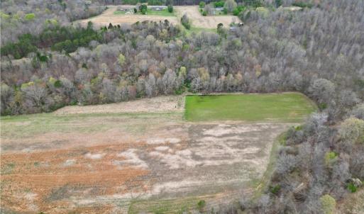 Photo #38 of 44 +/- AC Island, Madison, NC 44.0 acres