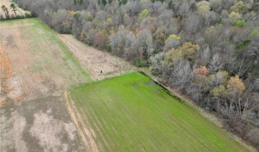 Photo #45 of 44 +/- AC Island, Madison, NC 44.0 acres