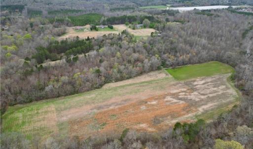 Photo #37 of 44 +/- AC Island, Madison, NC 44.0 acres