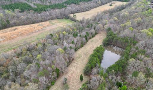 Photo #48 of 44 +/- AC Island, Madison, NC 44.0 acres