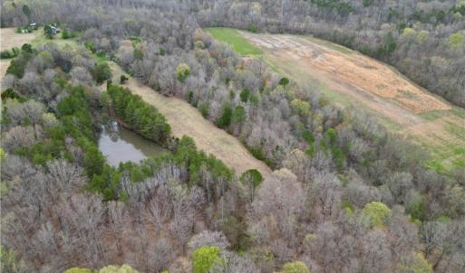 Photo #44 of 44 +/- AC Island, Madison, NC 44.0 acres