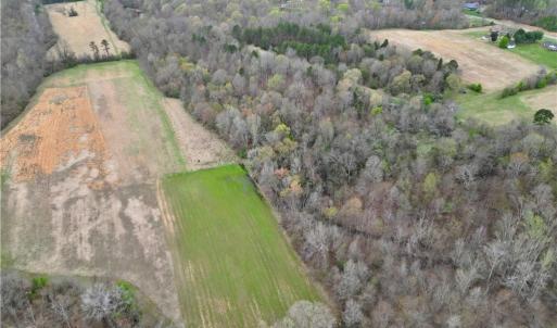 Photo #39 of 44 +/- AC Island, Madison, NC 44.0 acres