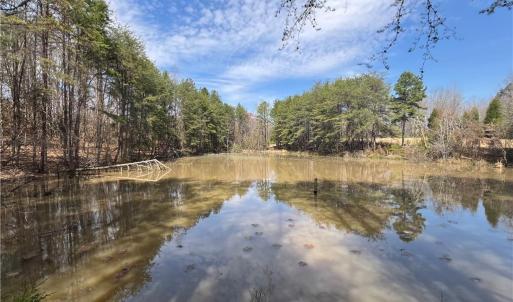 Pond looking from dam