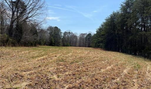 Middle field heading towards pond