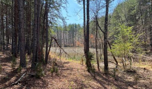 Photo #23 of 44 +/- AC Island, Madison, NC 44.0 acres