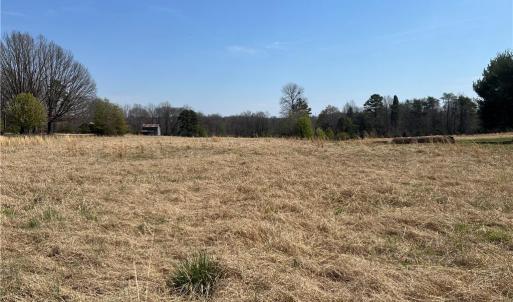 Photo #6 of 44 +/- AC Island, Madison, NC 44.0 acres