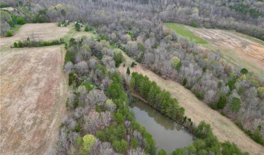 Photo #46 of 44 +/- AC Island, Madison, NC 44.0 acres