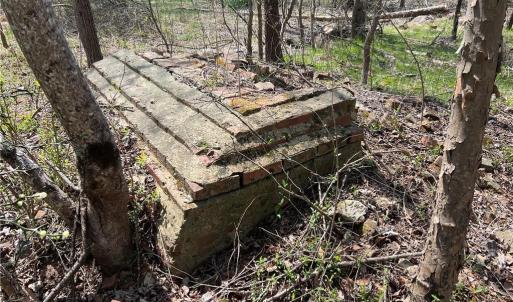 Remnants of chimney from an old homesite