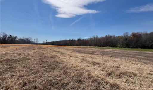 Photo #30 of 44 +/- AC Island, Madison, NC 44.0 acres