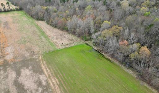 Photo #45 of 44 +/- AC Island, Madison, NC 44.0 acres