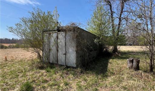 Photo #15 of 44 +/- AC Island, Madison, NC 44.0 acres