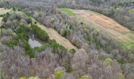 Photo #44 of 44 +/- AC Island, Madison, NC 44.0 acres