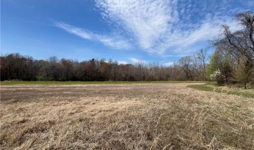 Photo #31 of 44 +/- AC Island, Madison, NC 44.0 acres