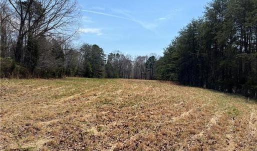 Middle field heading towards pond