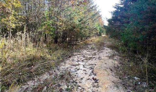 Photo #32 of 8516 Hudson-James, Summerfield, NC 48.6 acres