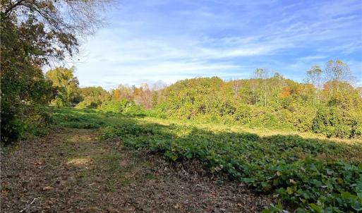 Photo #28 of 8516 Hudson-James, Summerfield, NC 48.6 acres