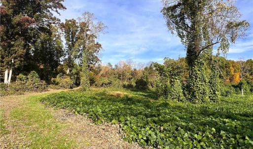 Photo #24 of 8516 Hudson-James, Summerfield, NC 48.6 acres