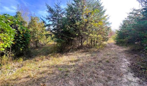 Photo #30 of 8516 Hudson-James, Summerfield, NC 48.6 acres