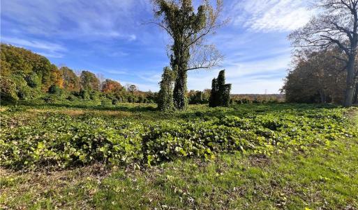 Photo #23 of 8516 Hudson-James, Summerfield, NC 48.6 acres