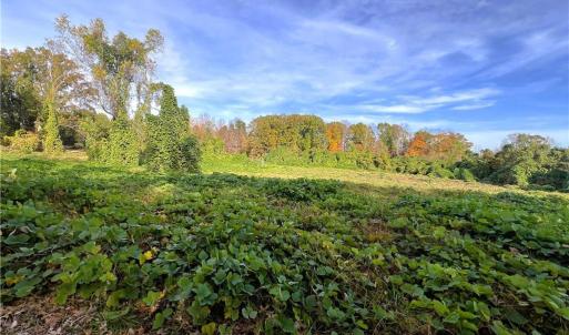 Photo #27 of 8516 Hudson-James, Summerfield, NC 48.6 acres