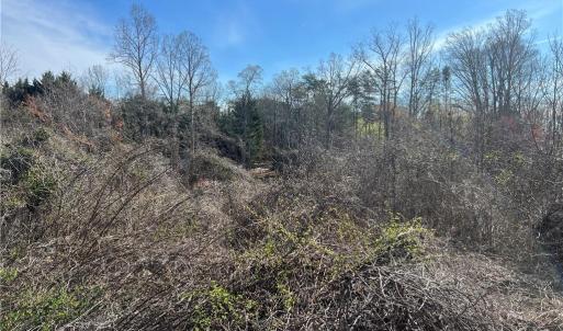 Photo #46 of 8516 Hudson-James, Summerfield, NC 48.6 acres