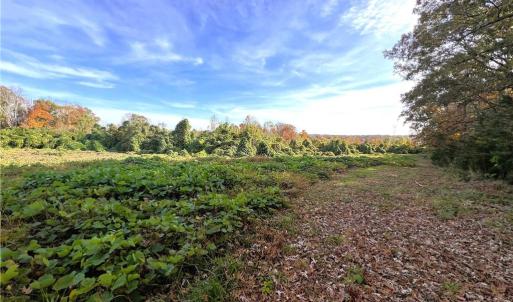 Photo #26 of 8516 Hudson-James, Summerfield, NC 48.6 acres