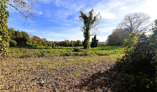 Photo #22 of 8516 Hudson-James, Summerfield, NC 48.6 acres