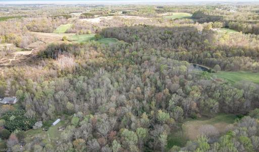 Photo #14 of 8516 Hudson-James, Summerfield, NC 48.6 acres