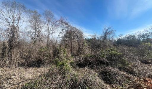 Photo #45 of 8516 Hudson-James, Summerfield, NC 48.6 acres