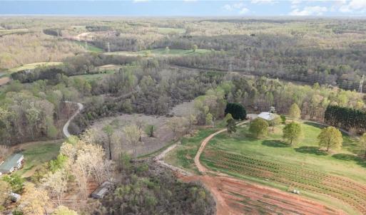 Photo #18 of 8516 Hudson-James, Summerfield, NC 48.6 acres