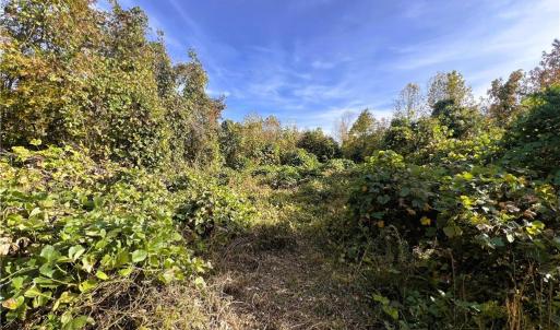 Photo #31 of 8516 Hudson-James, Summerfield, NC 48.6 acres