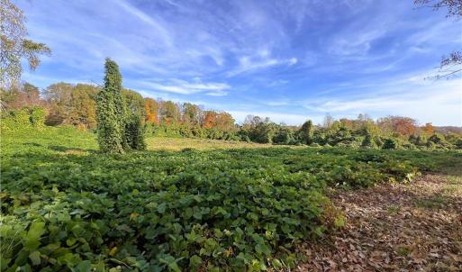 Photo #25 of 8516 Hudson-James, Summerfield, NC 48.6 acres