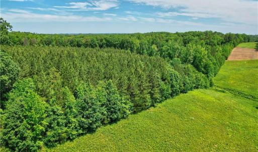 Photo #26 of Catawba, Salisbury, NC 21.2 acres