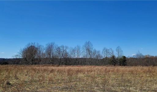 Photo #13 of 3063 Hart, Lawsonville, NC 55.0 acres