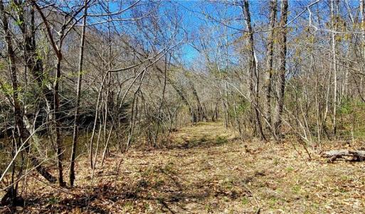 Photo #17 of 3063 Hart, Lawsonville, NC 55.0 acres