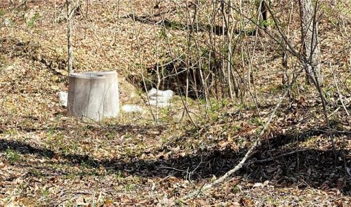 Photo #43 of 3063 Hart, Lawsonville, NC 55.0 acres