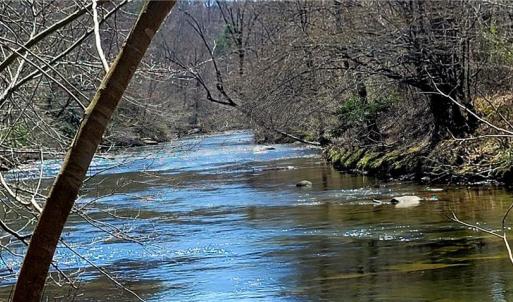 Photo #36 of 3063 Hart, Lawsonville, NC 55.0 acres