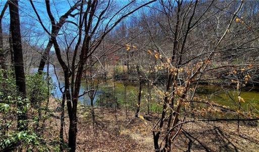 Photo #14 of 3063 Hart, Lawsonville, NC 55.0 acres