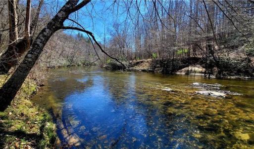 Photo #11 of 3063 Hart, Lawsonville, NC 55.0 acres