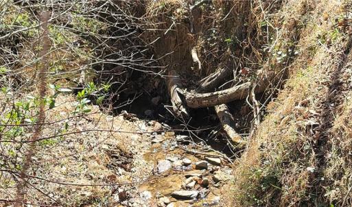 Photo #44 of 3063 Hart, Lawsonville, NC 55.0 acres