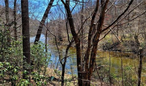 Photo #35 of 3063 Hart, Lawsonville, NC 55.0 acres