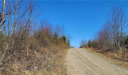 Photo #8 of 3063 Hart, Lawsonville, NC 55.0 acres