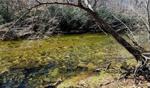 Photo #42 of 3063 Hart, Lawsonville, NC 55.0 acres