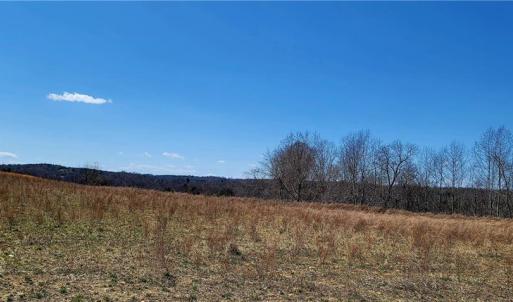 Photo #46 of 3063 Hart, Lawsonville, NC 55.0 acres