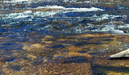 Photo #17 of 3063 Hart, Lawsonville, NC 55.0 acres