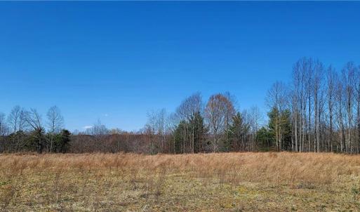 Photo #7 of 3063 Hart, Lawsonville, NC 55.0 acres