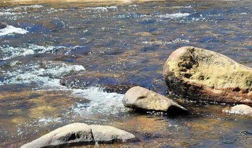 Photo #36 of 3063 Hart, Lawsonville, NC 55.0 acres