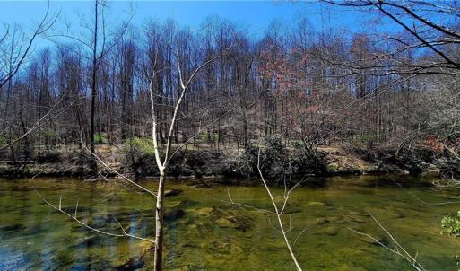 Photo #20 of 3063 Hart, Lawsonville, NC 55.0 acres