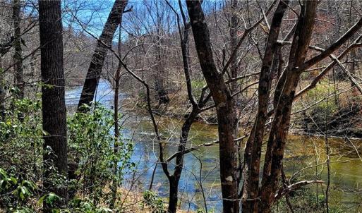 Photo #38 of 3063 Hart, Lawsonville, NC 55.0 acres