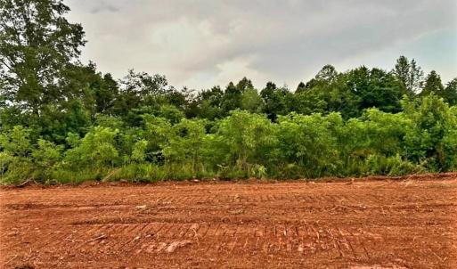 Photo #10 of 3063 Hart, Lawsonville, NC 55.0 acres